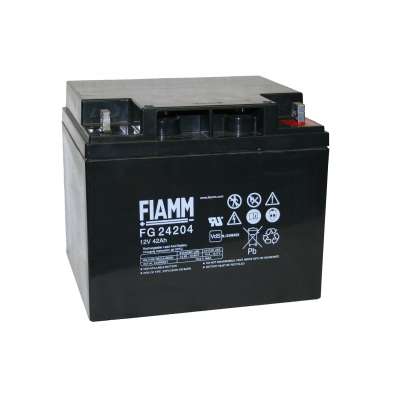 Аккумуляторная батарея Fiamm FG24204