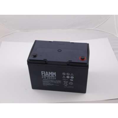 Аккумуляторная батарея Fiamm FG26505