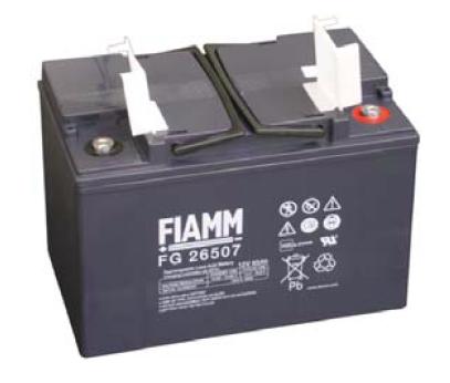 Аккумуляторная батарея Fiamm FG26507