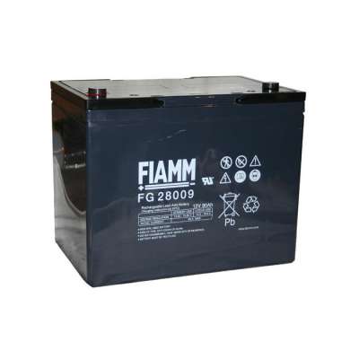Аккумуляторная батарея Fiamm FG28009