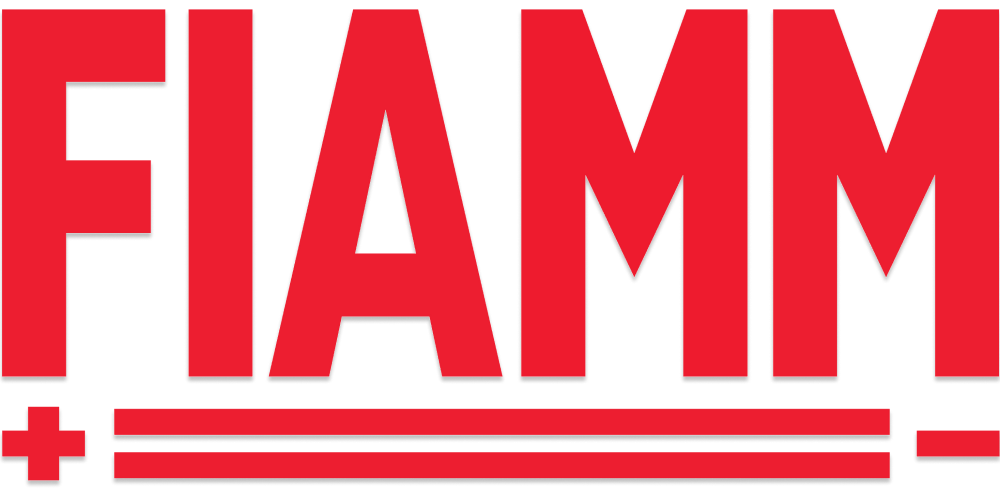 FIAMM Battery